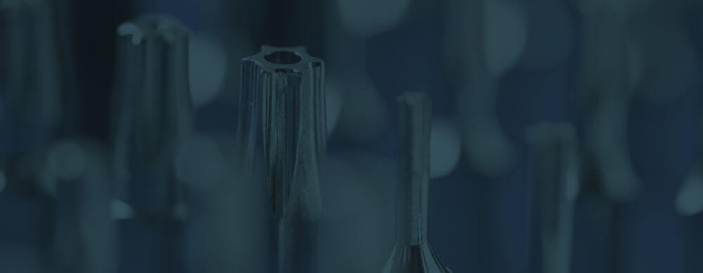 Tools for a Successful Immigration Process