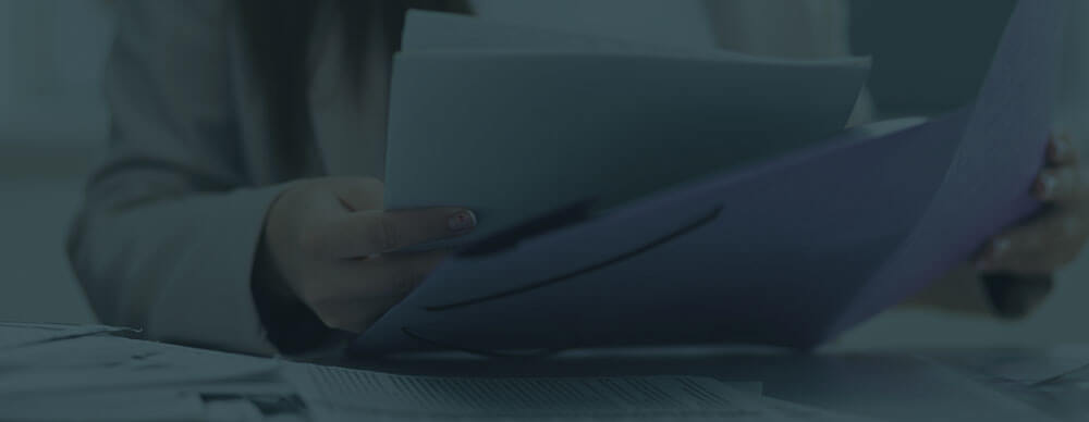 Adequate Immigration Status