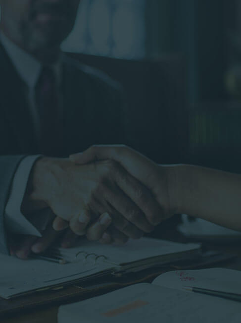 professional legal advice